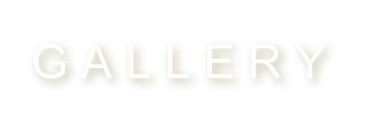 G A L L E R Y 